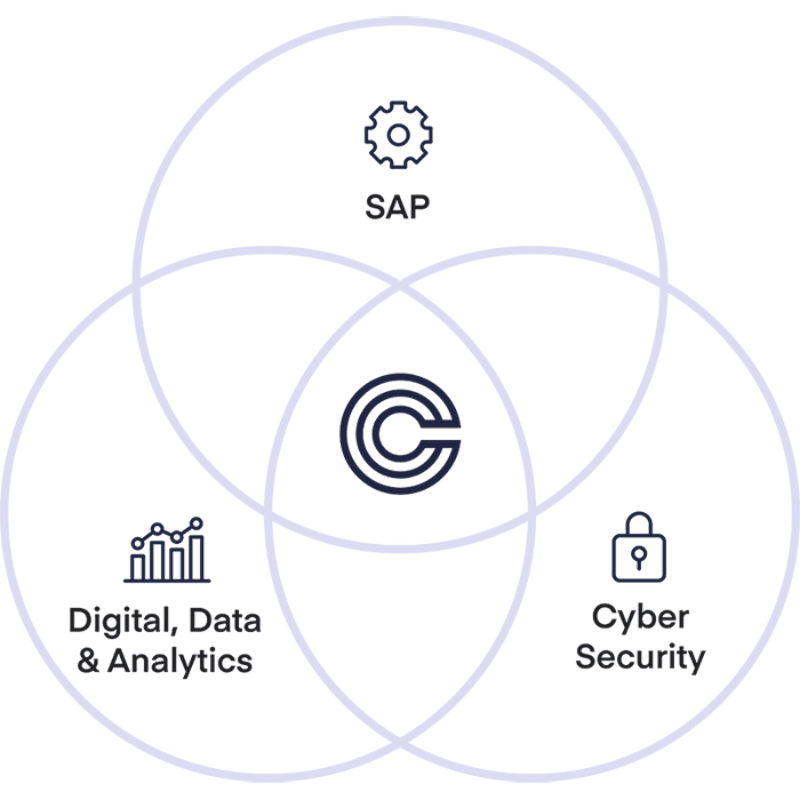 Conexus ERP, ERP, Data Analytics, Cyber Security